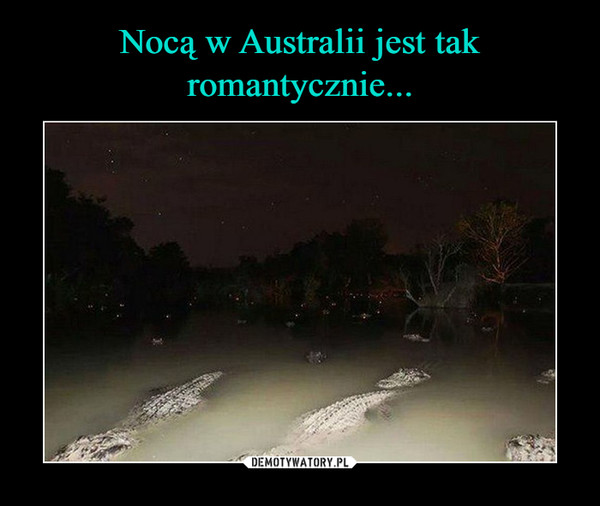 Nocą w Australii jest tak romantycznie...