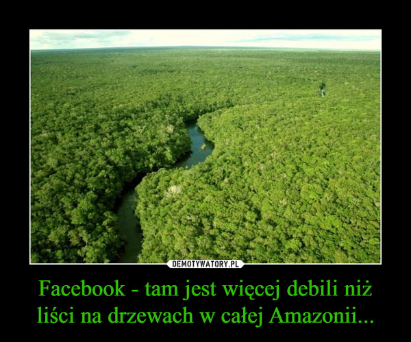 Facebook - tam jest więcej debili niż liści na drzewach w całej Amazonii...