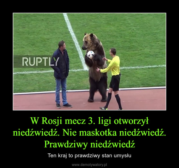 W Rosji mecz 3. ligi otworzył niedźwiedź. Nie maskotka niedźwiedź. Prawdziwy niedźwiedź – Ten kraj to prawdziwy stan umysłu 
