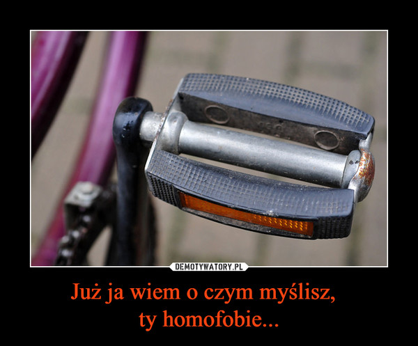 Już ja wiem o czym myślisz,  ty homofobie... –  