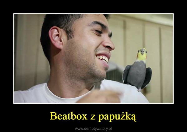 Beatbox z papużką –  