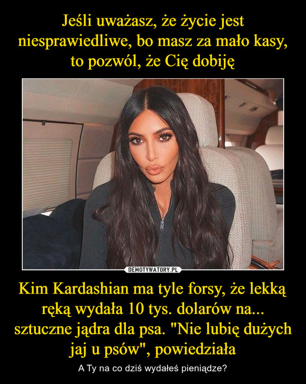 Kim Kardashian ma tyle forsy, że lekką ręką wydała 10 tys. dolarów na... sztuczne jądra dla psa. "Nie lubię dużych jaj u psów", powiedziała – A Ty na co dziś wydałeś pieniądze? 