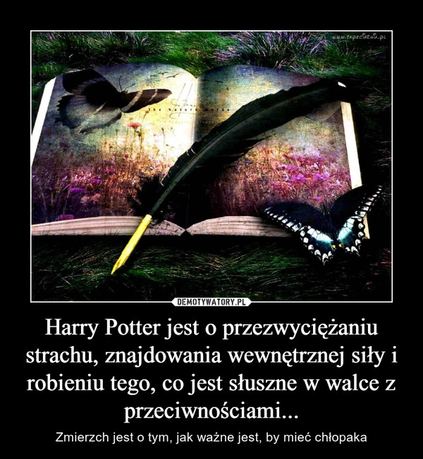 Harry Potter jest o przezwyciężaniu strachu, znajdowania wewnętrznej siły i robieniu tego, co jest słuszne w walce z przeciwnościami...