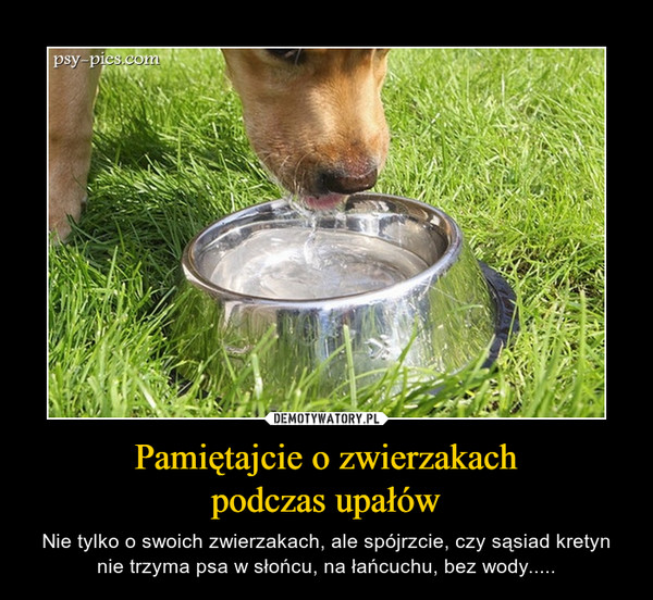 Pamiętajcie o zwierzakachpodczas upałów – Nie tylko o swoich zwierzakach, ale spójrzcie, czy sąsiad kretyn nie trzyma psa w słońcu, na łańcuchu, bez wody..... 