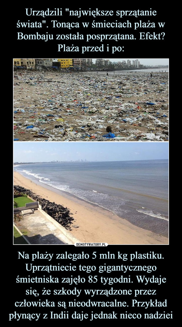 Urządzili "największe sprzątanie świata". Tonąca w śmieciach plaża w Bombaju została posprzątana. Efekt?
Plaża przed i po: Na plaży zalegało 5 mln kg plastiku. Uprzątniecie tego gigantycznego śmietniska zajęło 85 tygodni. Wydaje się, że szkody wyrządzone przez człowieka są nieodwracalne. Przykład płynący z Indii daje jednak nieco nadziei