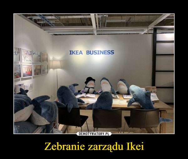Zebranie zarządu Ikei –  