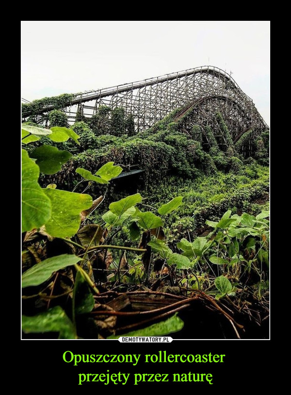 Opuszczony rollercoaster 
przejęty przez naturę