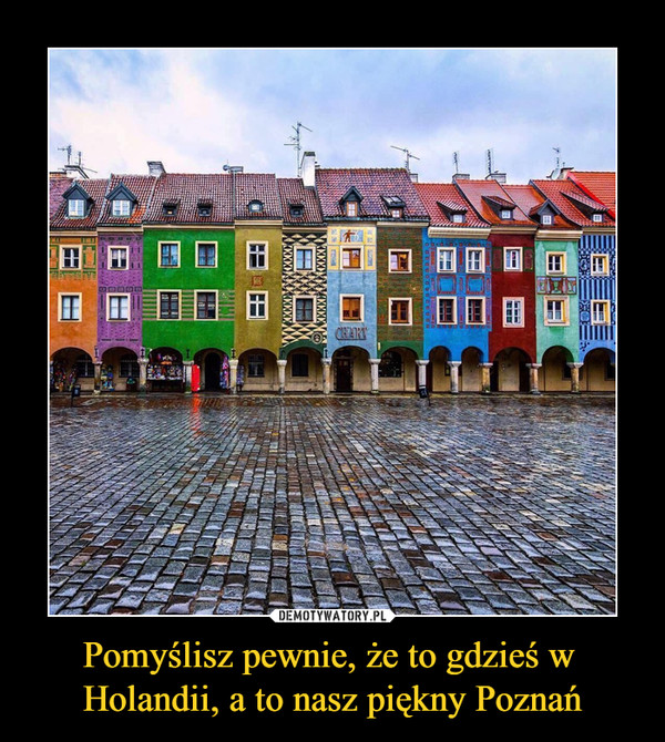 Pomyślisz pewnie, że to gdzieś w Holandii, a to nasz piękny Poznań –  
