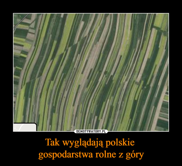 Tak wyglądają polskie gospodarstwa rolne z góry –  