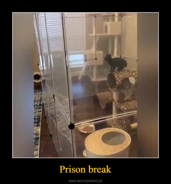 Prison break –  