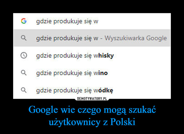 Google wie czego mogą szukać użytkownicy z Polski –  