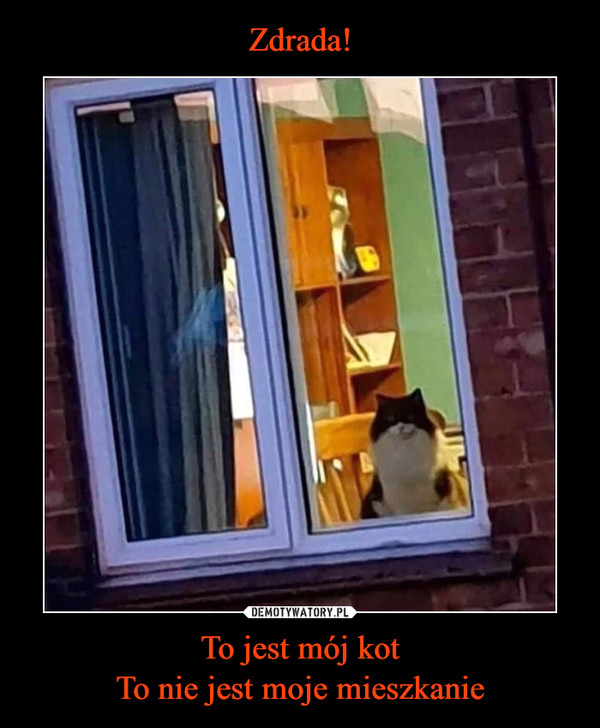 To jest mój kotTo nie jest moje mieszkanie –  