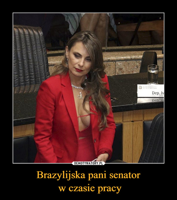 Brazylijska pani senator
 w czasie pracy