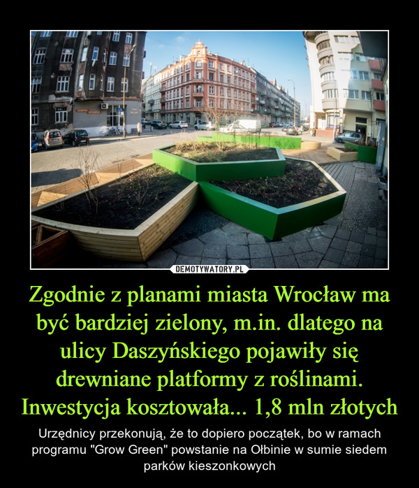 Zgodnie z planami miasta Wrocław ma być bardziej zielony, m.in. dlatego na ulicy Daszyńskiego pojawiły się drewniane platformy z roślinami. Inwestycja kosztowała... 1,8 mln złotych – Urzędnicy przekonują, że to dopiero początek, bo w ramach programu "Grow Green" powstanie na Ołbinie w sumie siedem parków kieszonkowych 