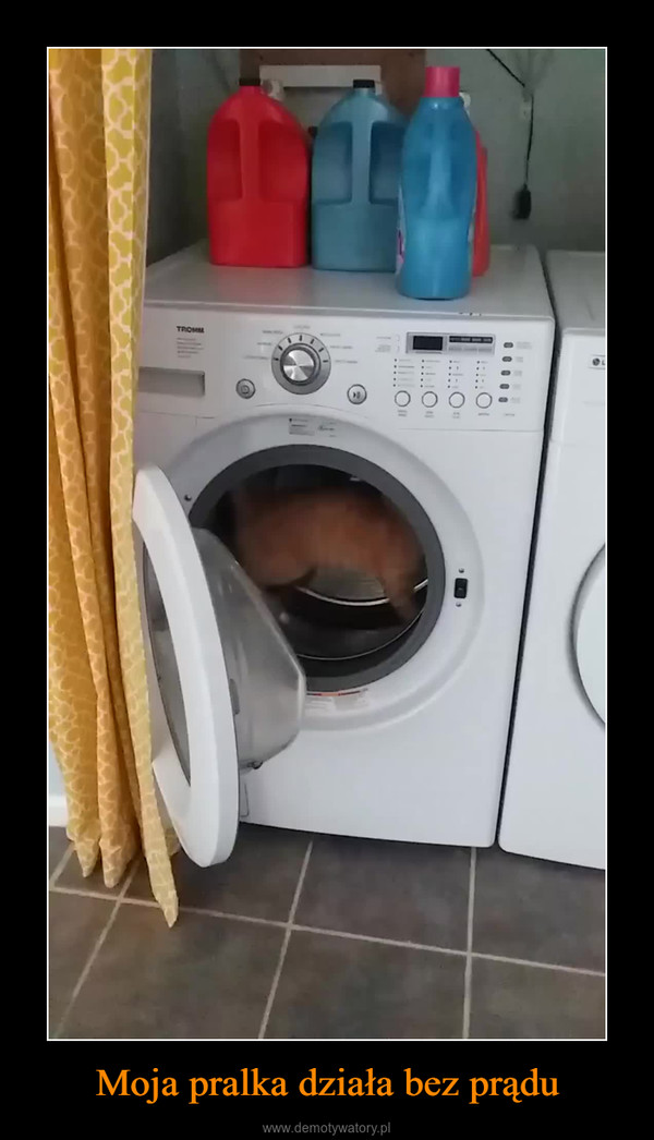Moja pralka działa bez prądu –  