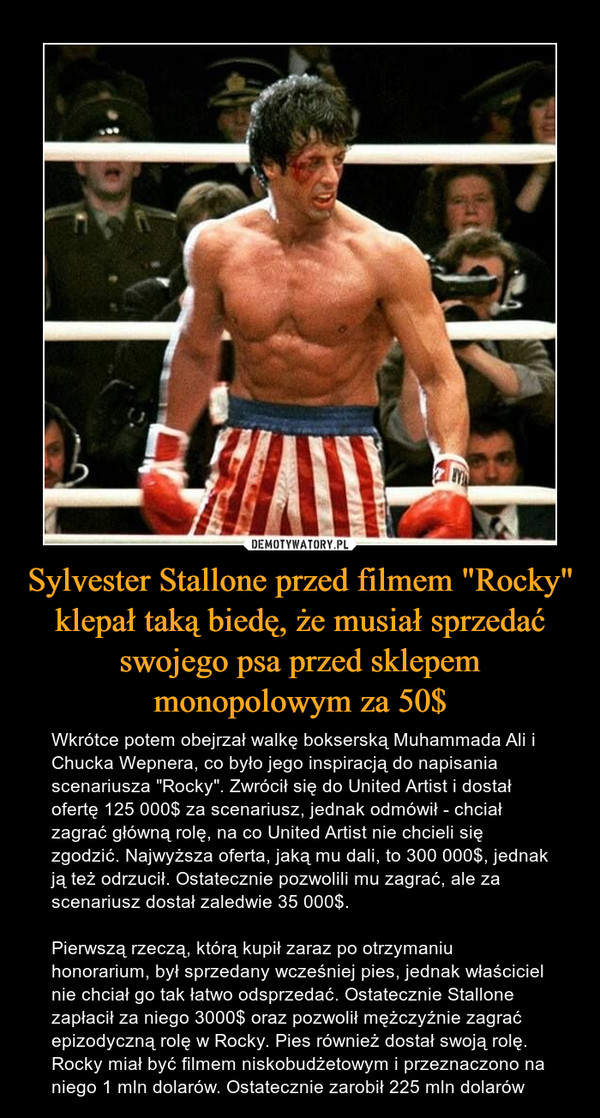 Sylvester Stallone przed filmem "Rocky" klepał taką biedę, że musiał sprzedać swojego psa przed sklepem monopolowym za 50$ – Wkrótce potem obejrzał walkę bokserską Muhammada Ali i Chucka Wepnera, co było jego inspiracją do napisania scenariusza "Rocky". Zwrócił się do United Artist i dostał ofertę 125 000$ za scenariusz, jednak odmówił - chciał zagrać główną rolę, na co United Artist nie chcieli się zgodzić. Najwyższa oferta, jaką mu dali, to 300 000$, jednak ją też odrzucił. Ostatecznie pozwolili mu zagrać, ale za scenariusz dostał zaledwie 35 000$. Pierwszą rzeczą, którą kupił zaraz po otrzymaniu honorarium, był sprzedany wcześniej pies, jednak właściciel nie chciał go tak łatwo odsprzedać. Ostatecznie Stallone zapłacił za niego 3000$ oraz pozwolił mężczyźnie zagrać epizodyczną rolę w Rocky. Pies również dostał swoją rolę.Rocky miał być filmem niskobudżetowym i przeznaczono na niego 1 mln dolarów. Ostatecznie zarobił 225 mln dolarów 