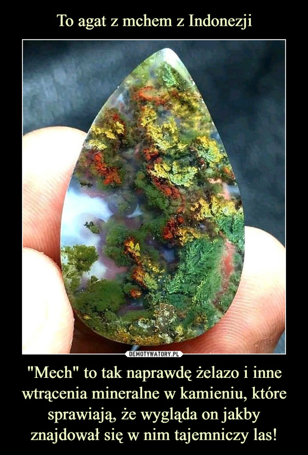 "Mech" to tak naprawdę żelazo i inne wtrącenia mineralne w kamieniu, które sprawiają, że wygląda on jakby znajdował się w nim tajemniczy las! –  