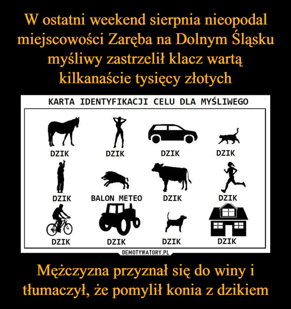 W ostatni weekend sierpnia nieopodal miejscowości Zaręba na Dolnym Śląsku myśliwy zastrzelił klacz wartą kilkanaście tysięcy złotych Mężczyzna przyznał się do winy i tłumaczył, że pomylił konia z dzikiem