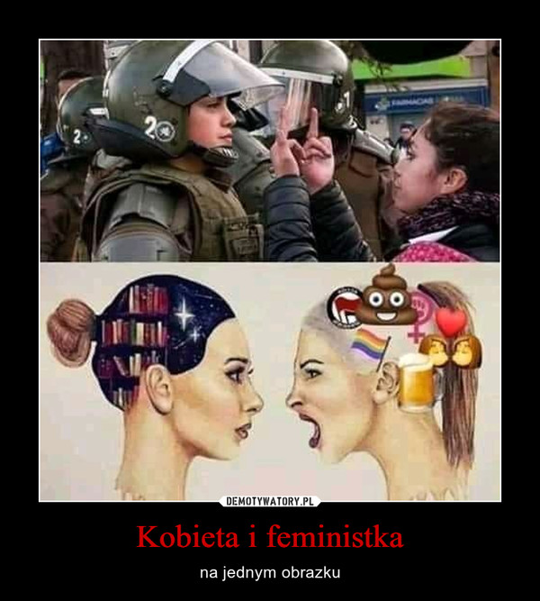 Kobieta i feministka – na jednym obrazku 