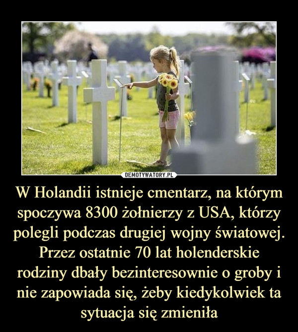W Holandii istnieje cmentarz, na którym spoczywa 8300 żołnierzy z USA, którzy polegli podczas drugiej wojny światowej. Przez ostatnie 70 lat holenderskie rodziny dbały bezinteresownie o groby i nie zapowiada się, żeby kiedykolwiek ta sytuacja się zmieniła