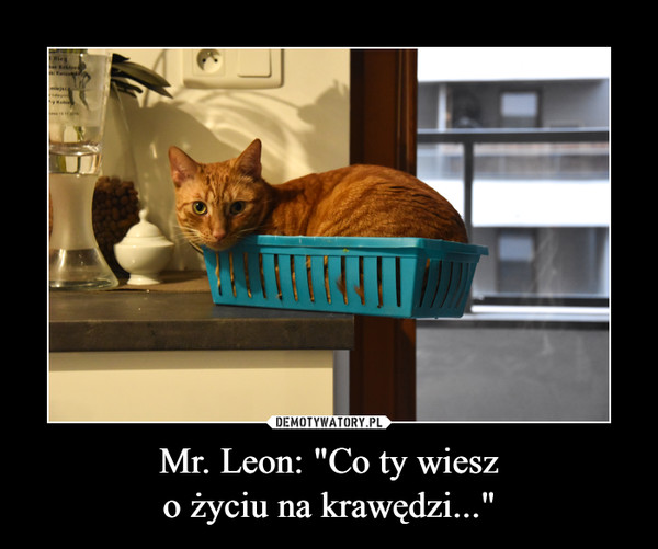 Mr. Leon: "Co ty wieszo życiu na krawędzi..." –  