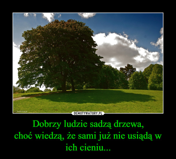 Dobrzy ludzie sadzą drzewa,choć wiedzą, że sami już nie usiądą w ich cieniu... –  
