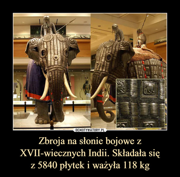 Zbroja na słonie bojowe z XVII-wiecznych Indii. Składała sięz 5840 płytek i ważyła 118 kg –  