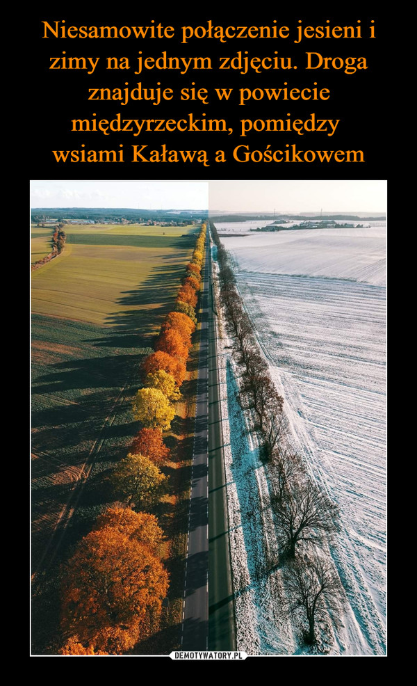 Niesamowite połączenie jesieni i zimy na jednym zdjęciu. Droga znajduje się w powiecie międzyrzeckim, pomiędzy 
wsiami Kaławą a Gościkowem