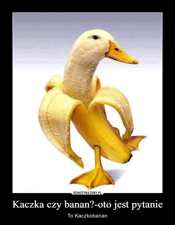 Kaczka czy banan?-oto jest pytanie