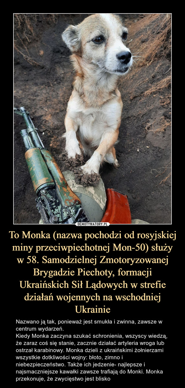 To Monka (nazwa pochodzi od rosyjskiej miny przeciwpiechotnej Mon-50) służy w 58. Samodzielnej Zmotoryzowanej Brygadzie Piechoty, formacji Ukraińskich Sił Lądowych w strefie działań wojennych na wschodniej Ukrainie