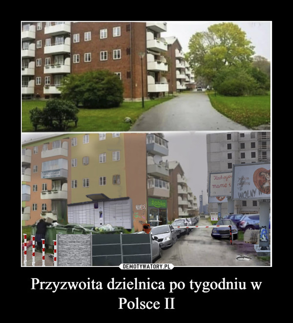 Przyzwoita dzielnica po tygodniu w Polsce II –  