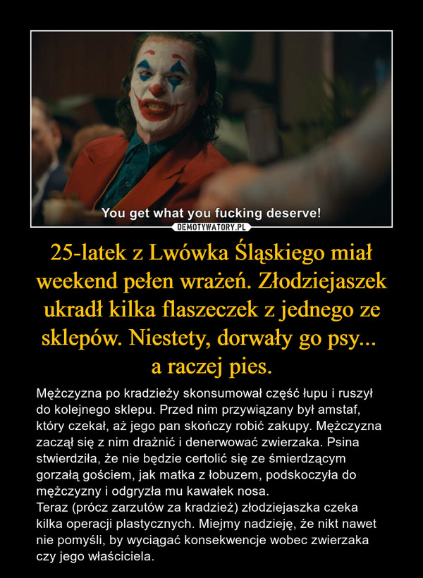25-latek z Lwówka Śląskiego miał weekend pełen wrażeń. Złodziejaszek ukradł kilka flaszeczek z jednego ze sklepów. Niestety, dorwały go psy... 
a raczej pies.