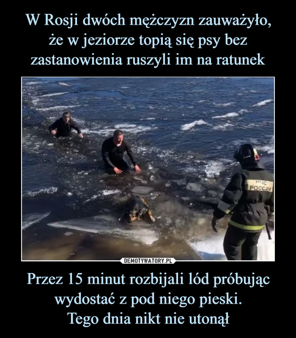 W Rosji dwóch mężczyzn zauważyło,
że w jeziorze topią się psy bez zastanowienia ruszyli im na ratunek Przez 15 minut rozbijali lód próbując wydostać z pod niego pieski.
Tego dnia nikt nie utonął