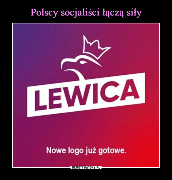 Polscy socjaliści łączą siły