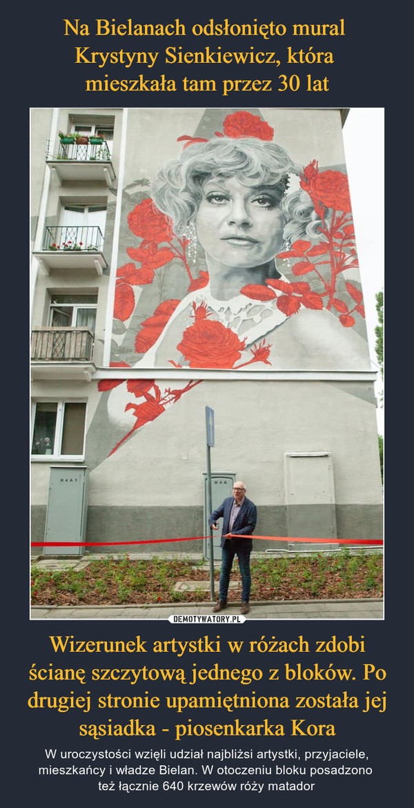 Na Bielanach odsłonięto mural 
Krystyny Sienkiewicz, która 
mieszkała tam przez 30 lat Wizerunek artystki w różach zdobi ścianę szczytową jednego z bloków. Po drugiej stronie upamiętniona została jej sąsiadka - piosenkarka Kora