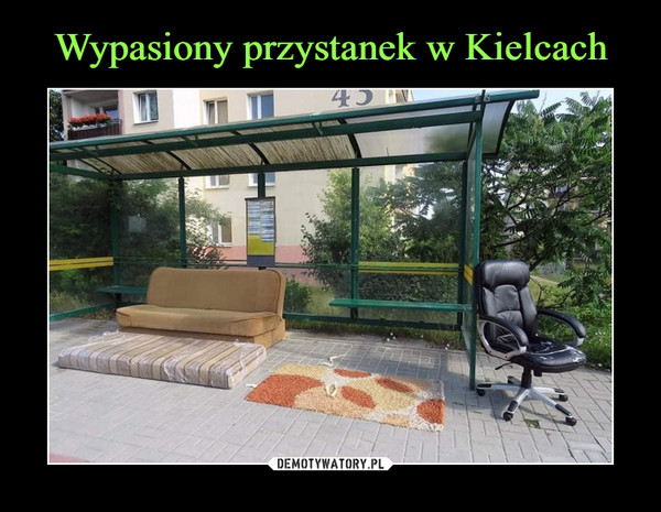 Wypasiony przystanek w Kielcach