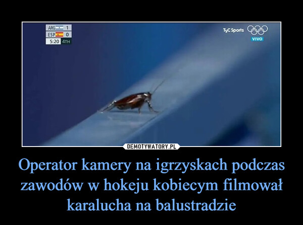 Operator kamery na igrzyskach podczas zawodów w hokeju kobiecym filmował karalucha na balustradzie