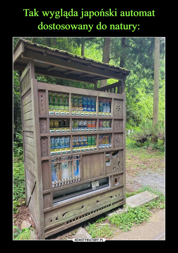 Tak wygląda japoński automat dostosowany do natury: