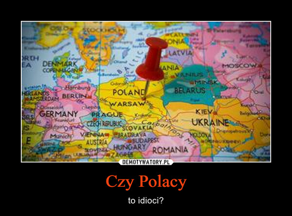 Czy Polacy – to idioci? 
