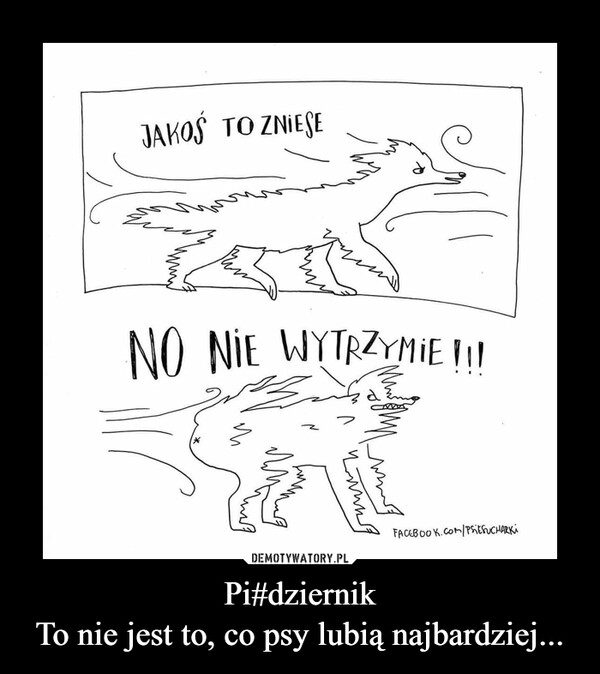 Pi#dziernik
To nie jest to, co psy lubią najbardziej...