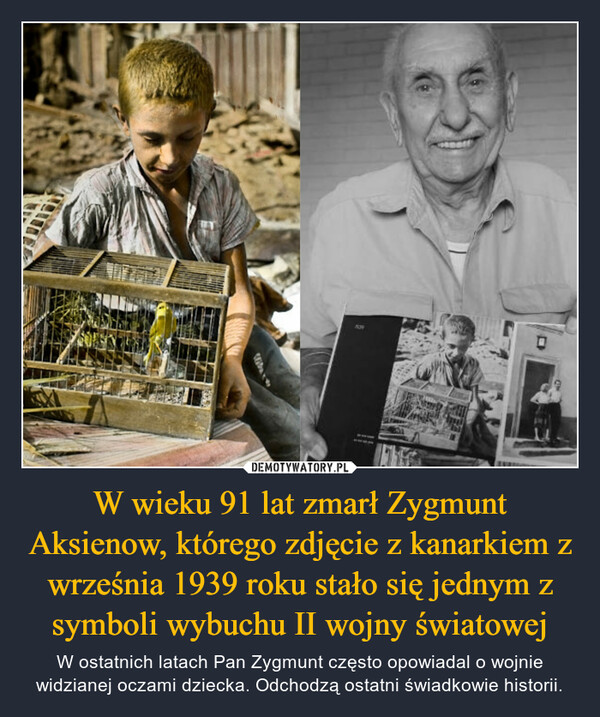 W wieku 91 lat zmarł Zygmunt Aksienow, którego zdjęcie z kanarkiem z września 1939 roku stało się jednym z symboli wybuchu II wojny światowej – W ostatnich latach Pan Zygmunt często opowiadal o wojnie widzianej oczami dziecka. Odchodzą ostatni świadkowie historii. 