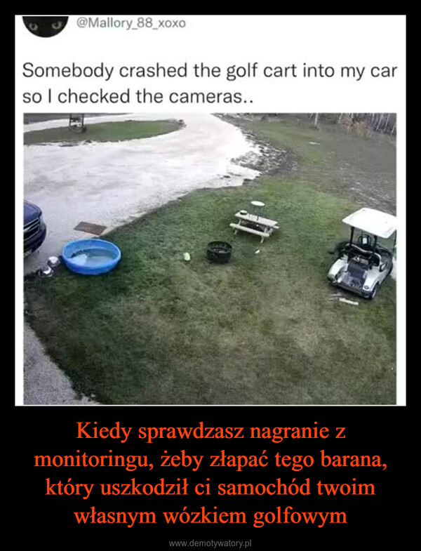 Kiedy sprawdzasz nagranie z monitoringu, żeby złapać tego barana, który uszkodził ci samochód twoim własnym wózkiem golfowym –  