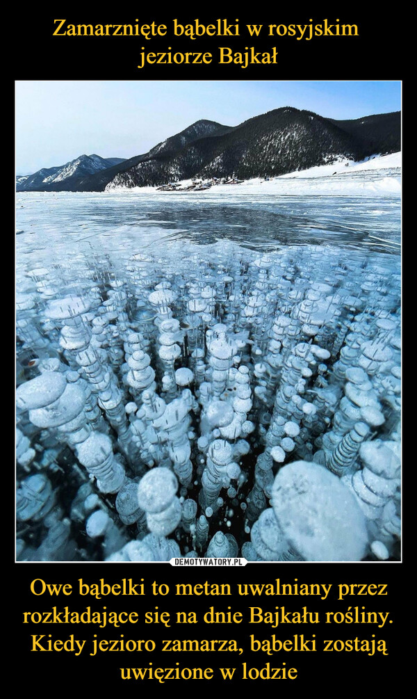 Zamarznięte bąbelki w rosyjskim 
jeziorze Bajkał Owe bąbelki to metan uwalniany przez rozkładające się na dnie Bajkału rośliny. Kiedy jezioro zamarza, bąbelki zostają uwięzione w lodzie