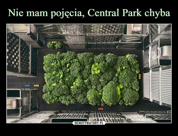 Nie mam pojęcia, Central Park chyba