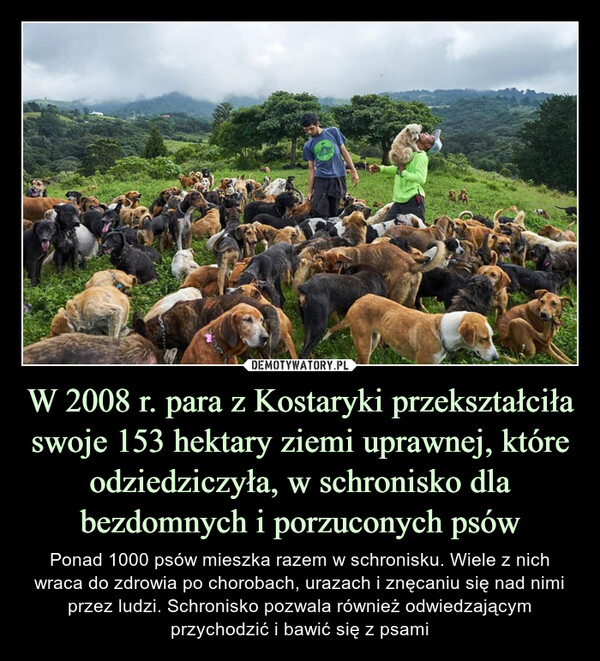 W 2008 r. para z Kostaryki przekształciła swoje 153 hektary ziemi uprawnej, które odziedziczyła, w schronisko dla bezdomnych i porzuconych psów – Ponad 1000 psów mieszka razem w schronisku. Wiele z nich wraca do zdrowia po chorobach, urazach i znęcaniu się nad nimi przez ludzi. Schronisko pozwala również odwiedzającym przychodzić i bawić się z psami 