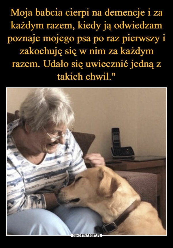 Moja babcia cierpi na demencje i za każdym razem, kiedy ją odwiedzam poznaje mojego psa po raz pierwszy i zakochuję się w nim za każdym razem. Udało się uwiecznić jedną z takich chwil."