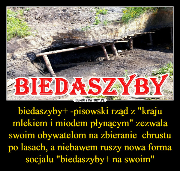 biedaszyby+ -pisowski rząd z "kraju mlekiem i miodem płynącym" zezwala swoim obywatelom na zbieranie  chrustu po lasach, a niebawem ruszy nowa forma socjalu "biedaszyby+ na swoim"