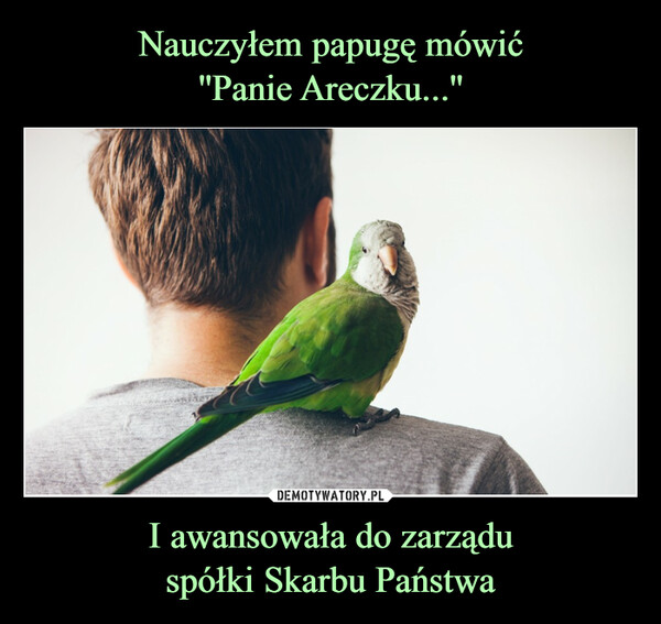 Nauczyłem papugę mówić
''Panie Areczku...'' I awansowała do zarządu
spółki Skarbu Państwa