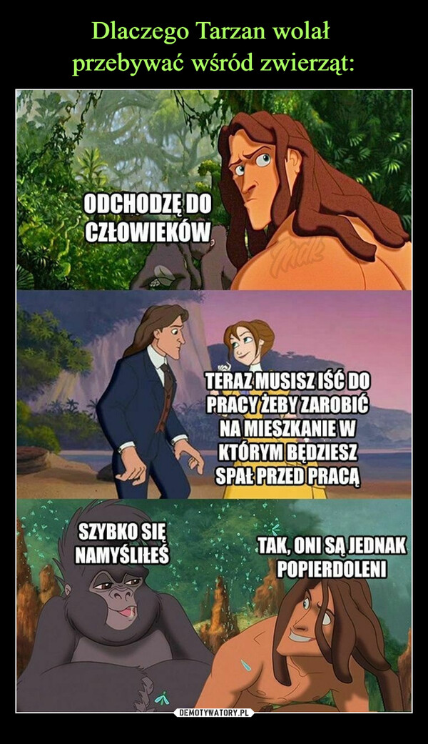 Dlaczego Tarzan wolał 
przebywać wśród zwierząt: