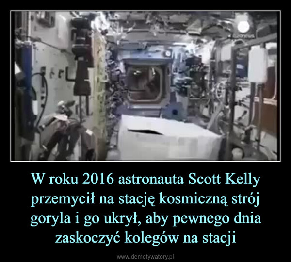 W roku 2016 astronauta Scott Kelly przemycił na stację kosmiczną strój goryla i go ukrył, aby pewnego dnia zaskoczyć kolegów na stacji –  